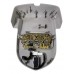 Luz Teto Cortesia Peugeot 308 2012 2013 2014 2015